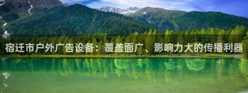 杏宇平台是什么