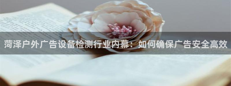 杏宇平台登录步骤图