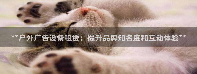 杏宇平台代理：**户外广告设备租赁：提升品牌知名度和互动体验**