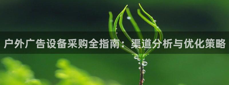 杏宇平台代理怎么赚钱