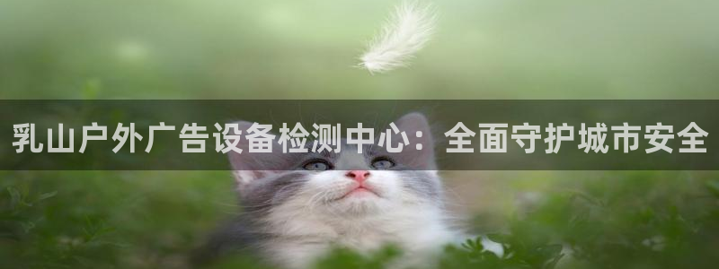 杏宇平台怎么样知乎