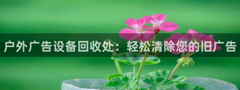 杏宇平台官网注册