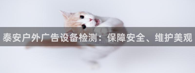 杏宇平台注册登录：泰安户外广告设备检测：保障安全、维护美观
