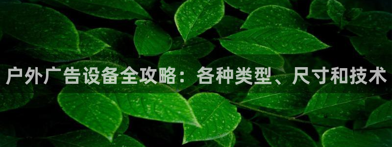 杏宇平台代理多少钱一个月：户外广告设备全攻略：各种类型、尺寸和技术