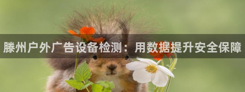 杏宇平台登录方法