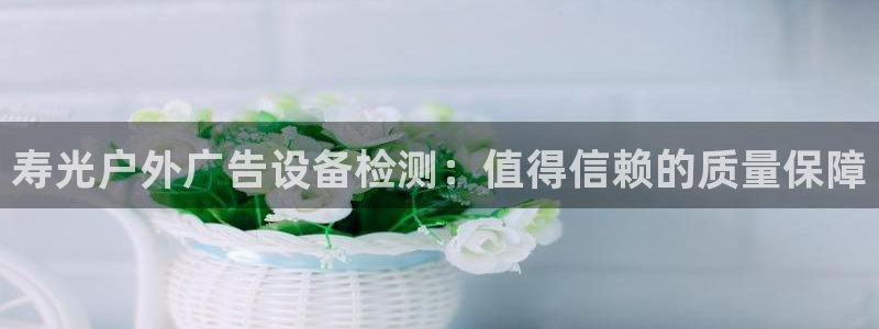 杏宇平台代理怎么样赚钱：寿光户外广告设备检测：值得信赖的质量保障