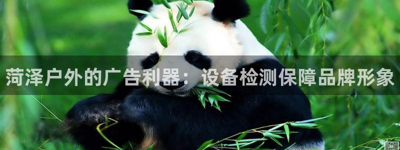 杏宇平台测速链接：菏泽户外的广告利器：设备检测保障品牌形象