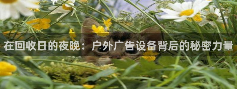 杏宇平台客服：在回收日的夜晚：户外广告设