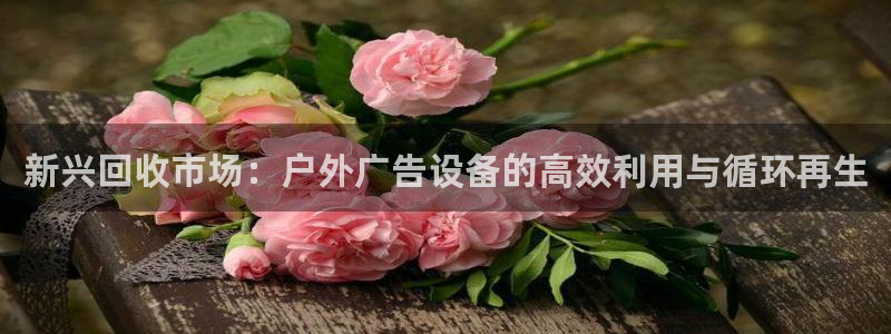 杏宇平台怎么样赚钱：新兴回收市场：户外广