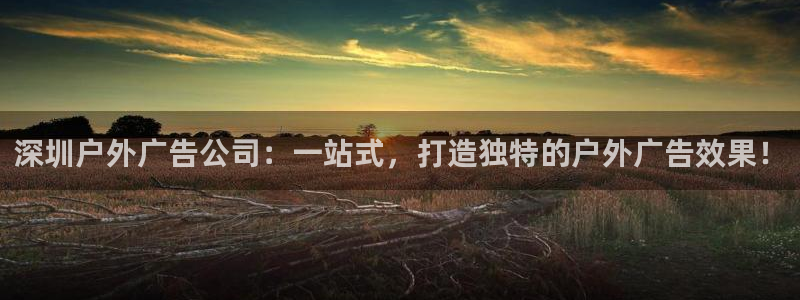 杏宇平台代理怎么样赚钱：深圳户外广告公司