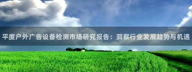 杏宇平台招商怎么样：平度户外广告设备检测市场研究报告：洞察行业发展趋势与机遇