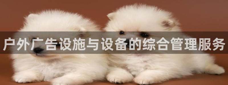 杏宇平台招商怎么样：户外广告设施与设备的综合管理服务