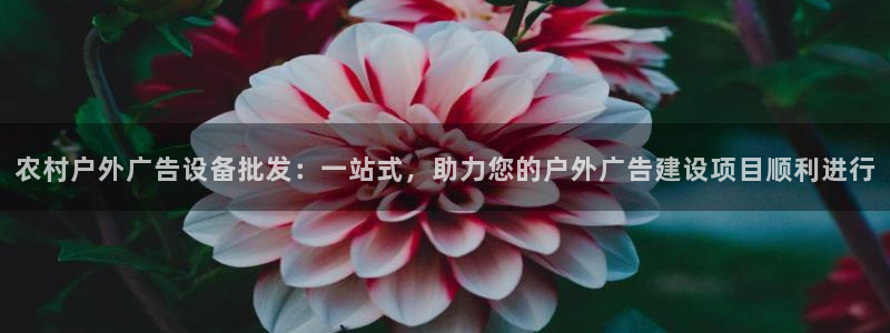 杏宇平台登录步骤：农村户外广告设备批发：