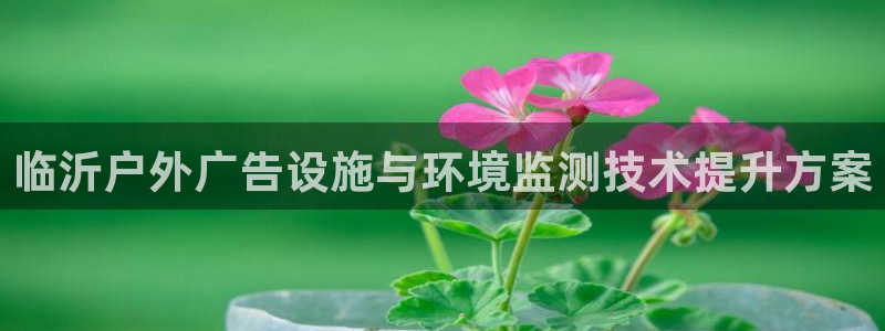杏宇平台代理多少钱：临沂户外广告设施与环