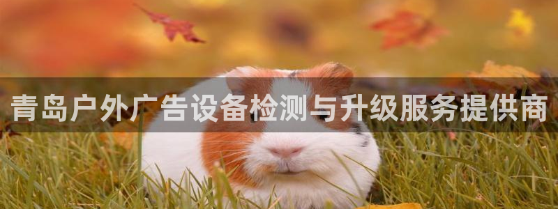杏宇平台怎么样：青岛户外广告设备检测与升