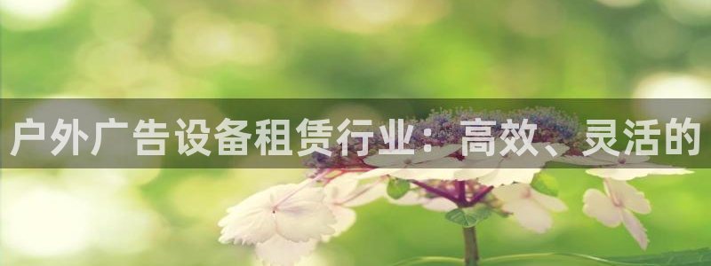 杏宇平台客服
