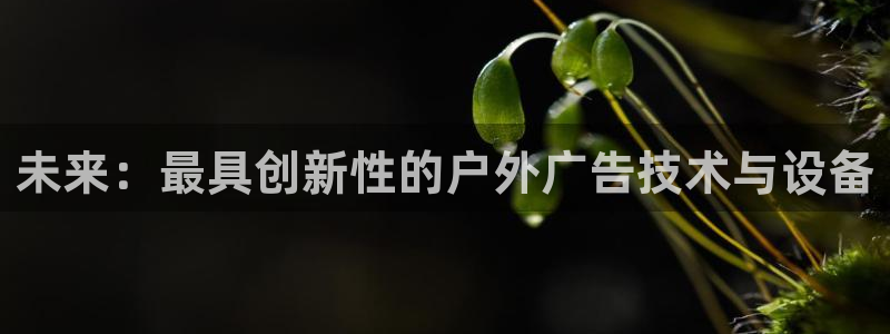 杏宇平台测速链接：未来：最具创新性的户外