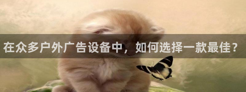 杏宇平台代理怎么赚钱的
