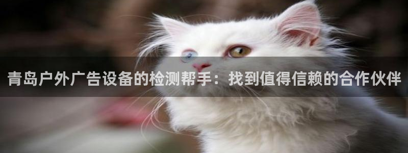 杏宇平台代理怎么样