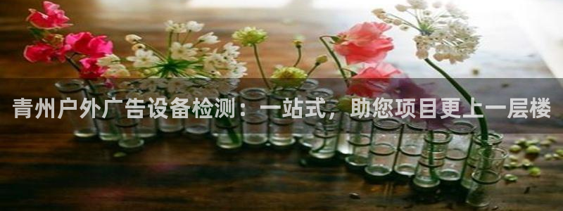 杏宇平台代理：青州户外广告设备检测：一站式，助您项目更上一层楼