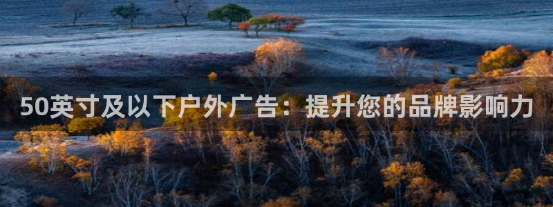杏宇平台代理多少钱一个月:50英寸及以下 杏宇平台代理多少钱一个月:50英寸及以下