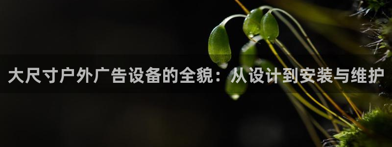 杏宇平台代理怎么赚钱的：大尺寸户外广告设