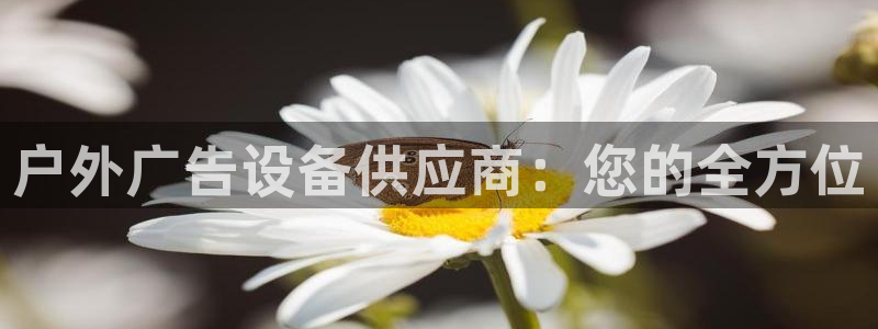 杏宇平台主管：户外广告设备供应商：您的全