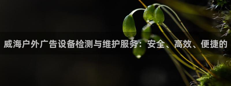 杏宇平台登录步骤：威海户外广告设备检测与