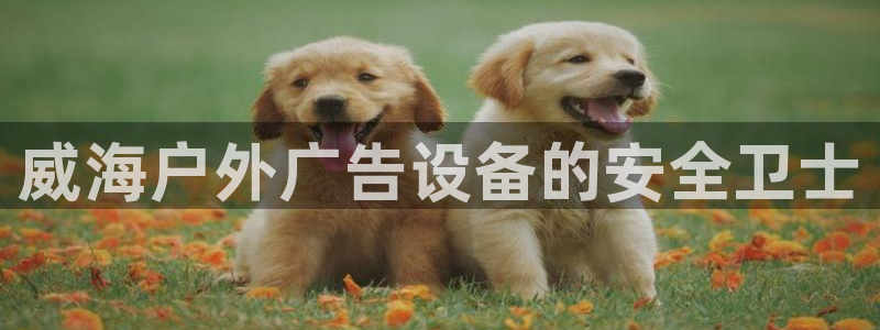 杏宇平台怎么样赚钱